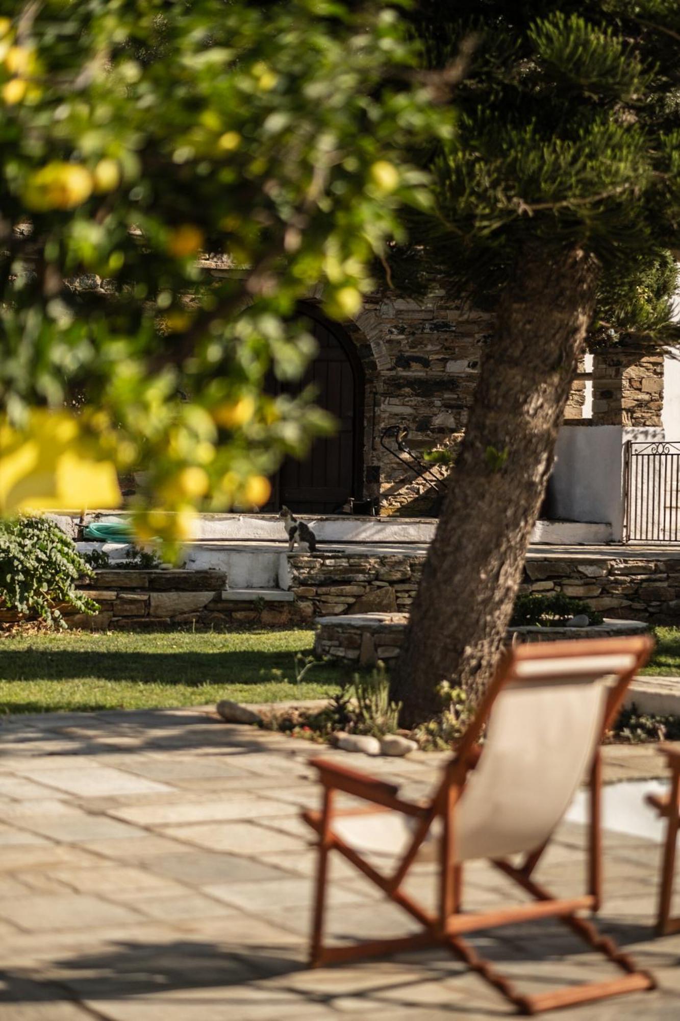 Romano Garden House - Land Tales Agios Romanos Exteriér fotografie